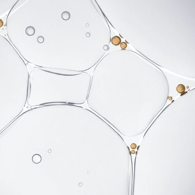 The 5 Best Antioxidants in Skincare (And Why Olive Wins)