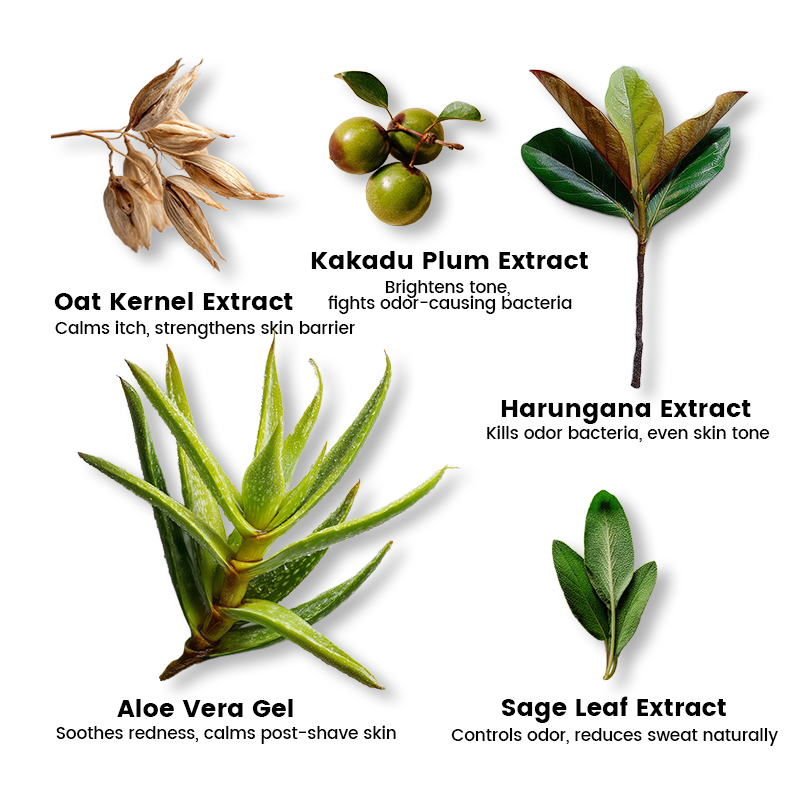 Natural ingredients in Alra deodorant including aloe, sage, and kakadu plum