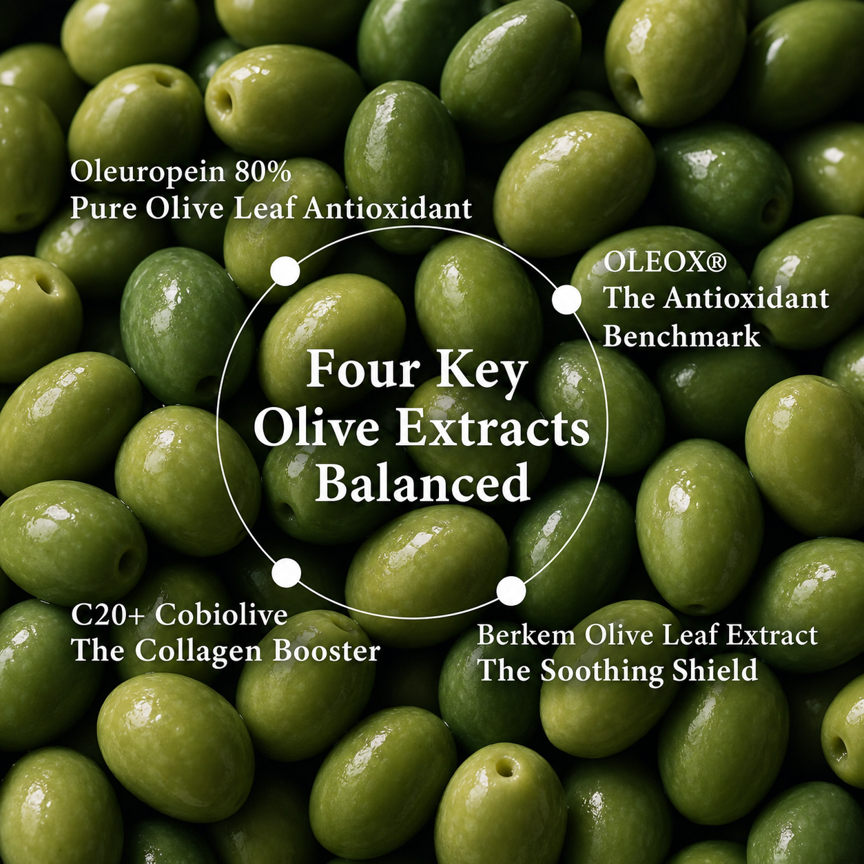 Alra Olive Therapy Serum