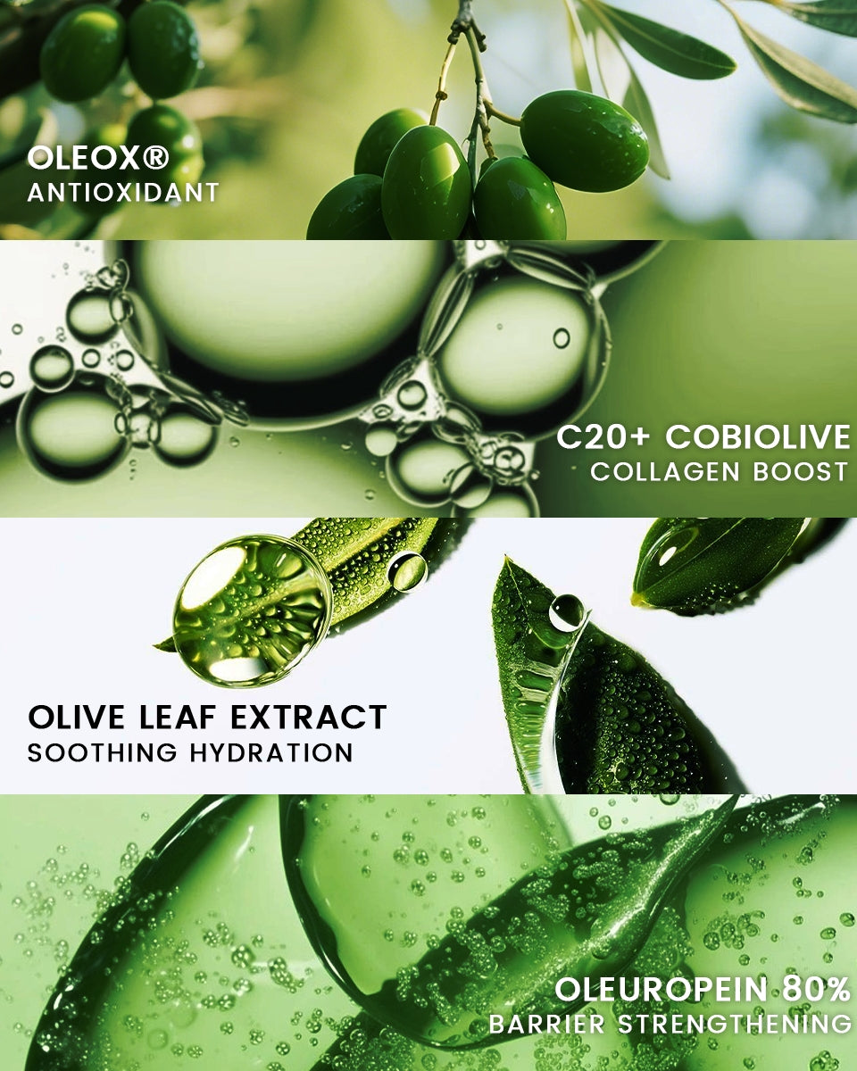 Infographic highlighting the benefits of four key olive-derived ingredients in Alra Olive Serum: OLEOX® for antioxidant protection, C20+ Cobiolive for collagen boost, Oleuropein 80% for strengthening the skin barrier, and Olive Leaf Extract for soothing hydration.

