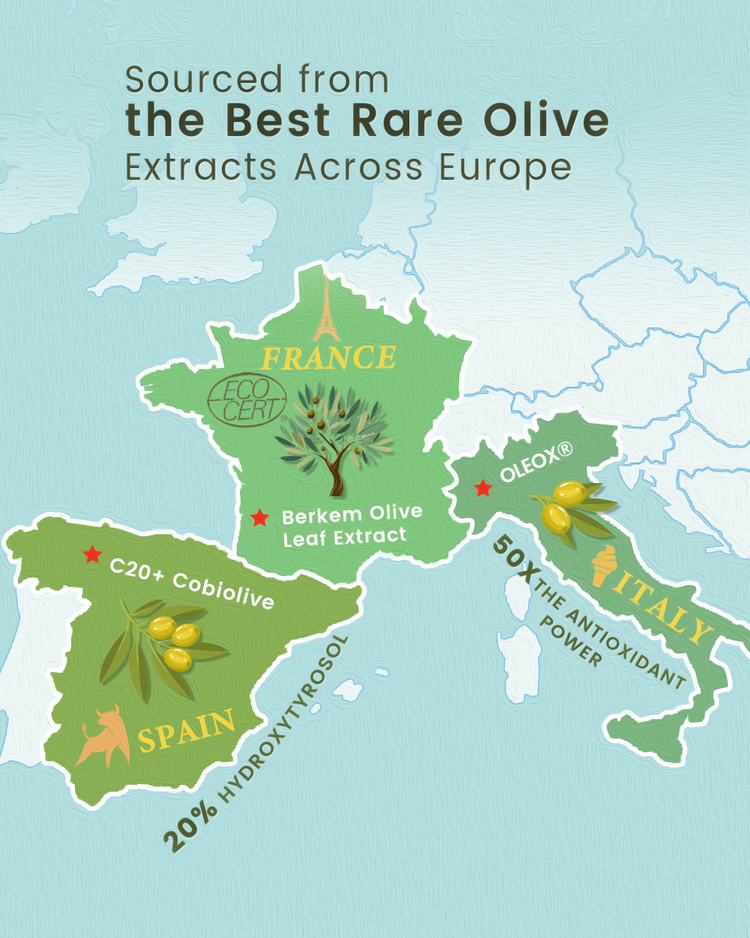 Map-style image showing the sourcing of Alra Olive Serum’s key ingredients from Europe: OLEOX® from Italy with 50x antioxidant power, C20+ Cobiolive from Spain with 20% hydroxytyrosol, and COSMOS-certified Berkem Olive Leaf Extract from France. Background includes scenic landscapes of each region.

